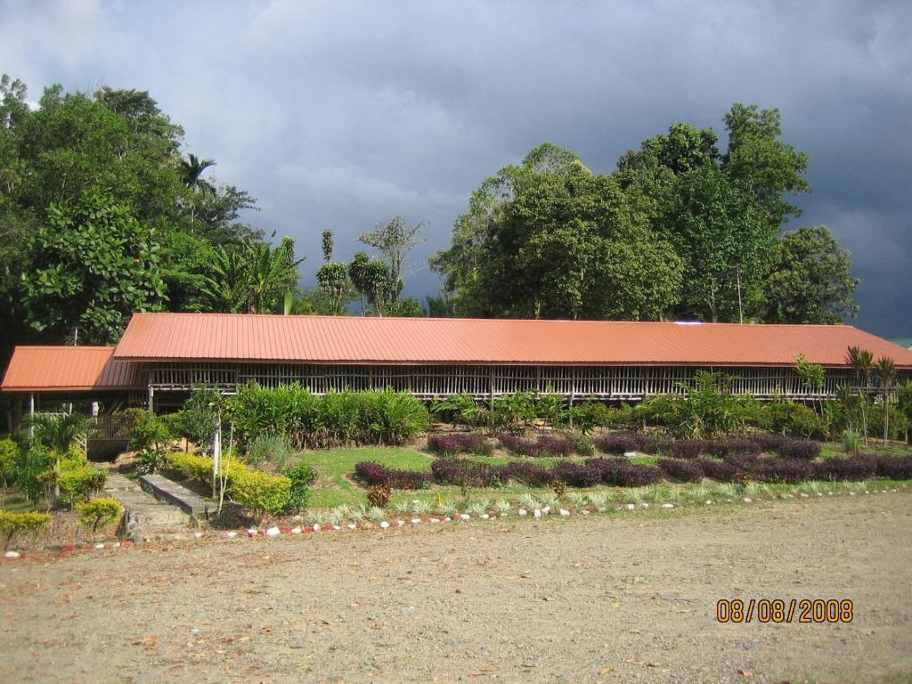 Sabah Tea Garden-Longhouses Ranau Bagian luar foto