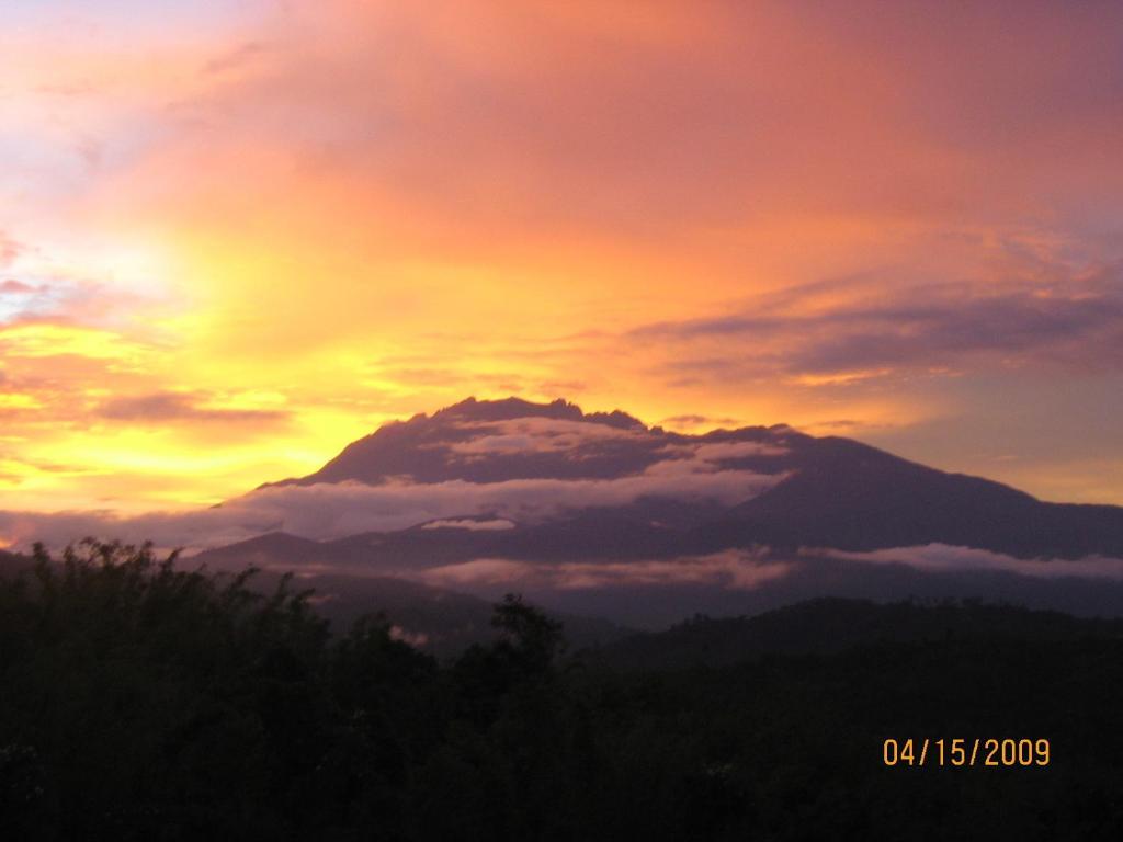Sabah Tea Garden-Longhouses Ranau Bagian luar foto