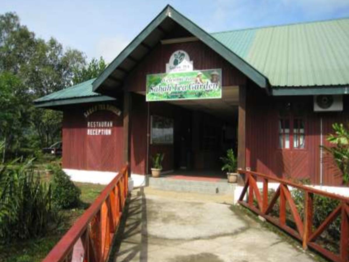 Sabah Tea Garden-Longhouses Ranau Bagian luar foto