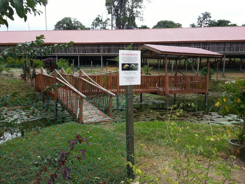 Sabah Tea Garden-Longhouses Ranau Bagian luar foto