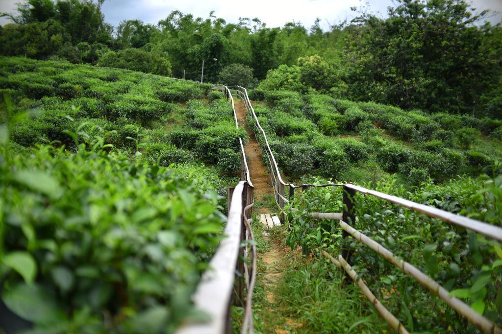 Sabah Tea Garden-Longhouses Ranau Bagian luar foto
