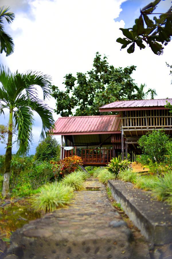 Sabah Tea Garden-Longhouses Ranau Bagian luar foto
