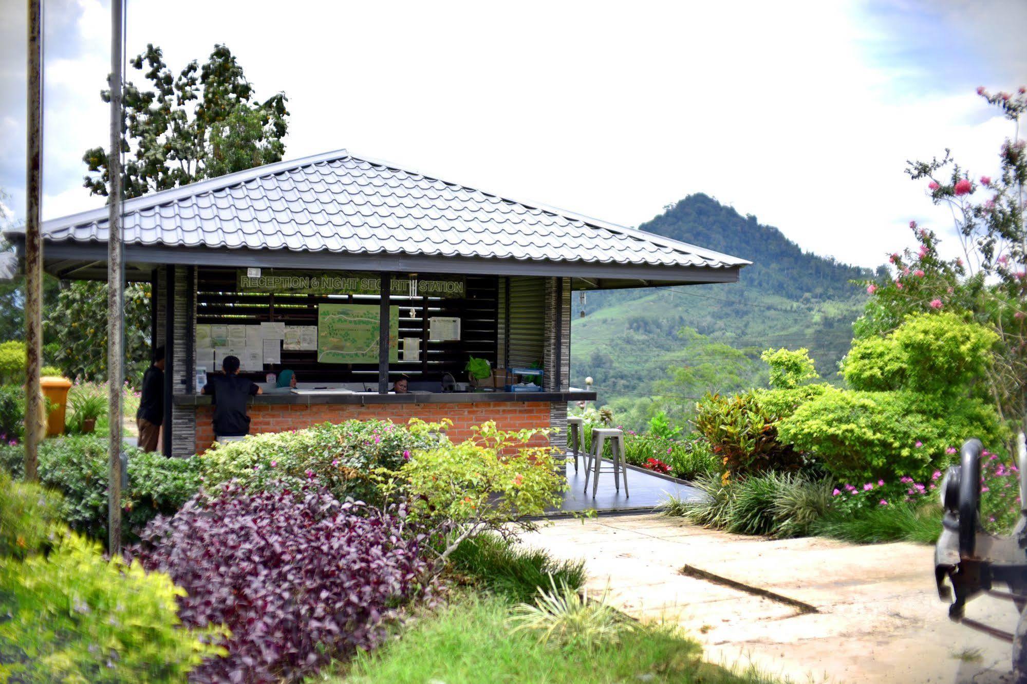 Sabah Tea Garden-Longhouses Ranau Bagian luar foto